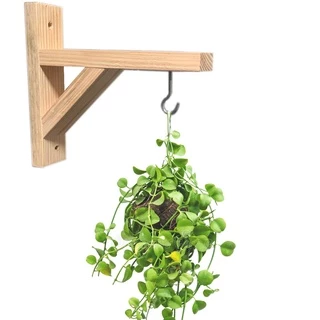 6 UNIDADES Mão Francesa PINUS Suporte Para Pendurar Vaso De Planta Na Parede Gancho