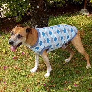 Roupa pet para cachorro e gato de Fleece xadrez inverno