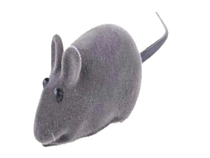 Brinquedo Gato Ratinho Rato Real Mouse com Apito Pet | Shopee Brasil