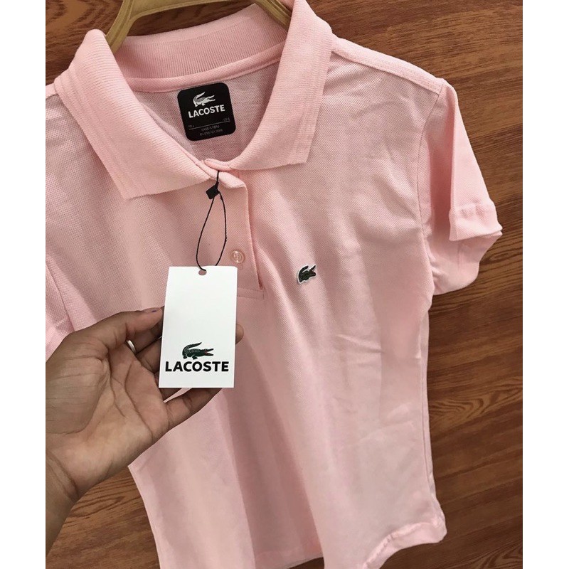 Lacoste 2024 feminina polo