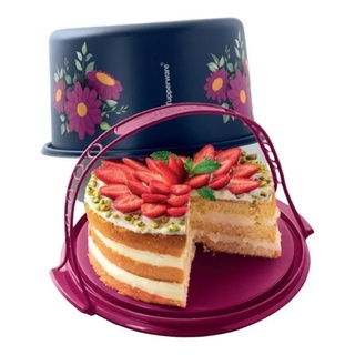 bolos redondo feminino em Promoção na Shopee Brasil 2023
