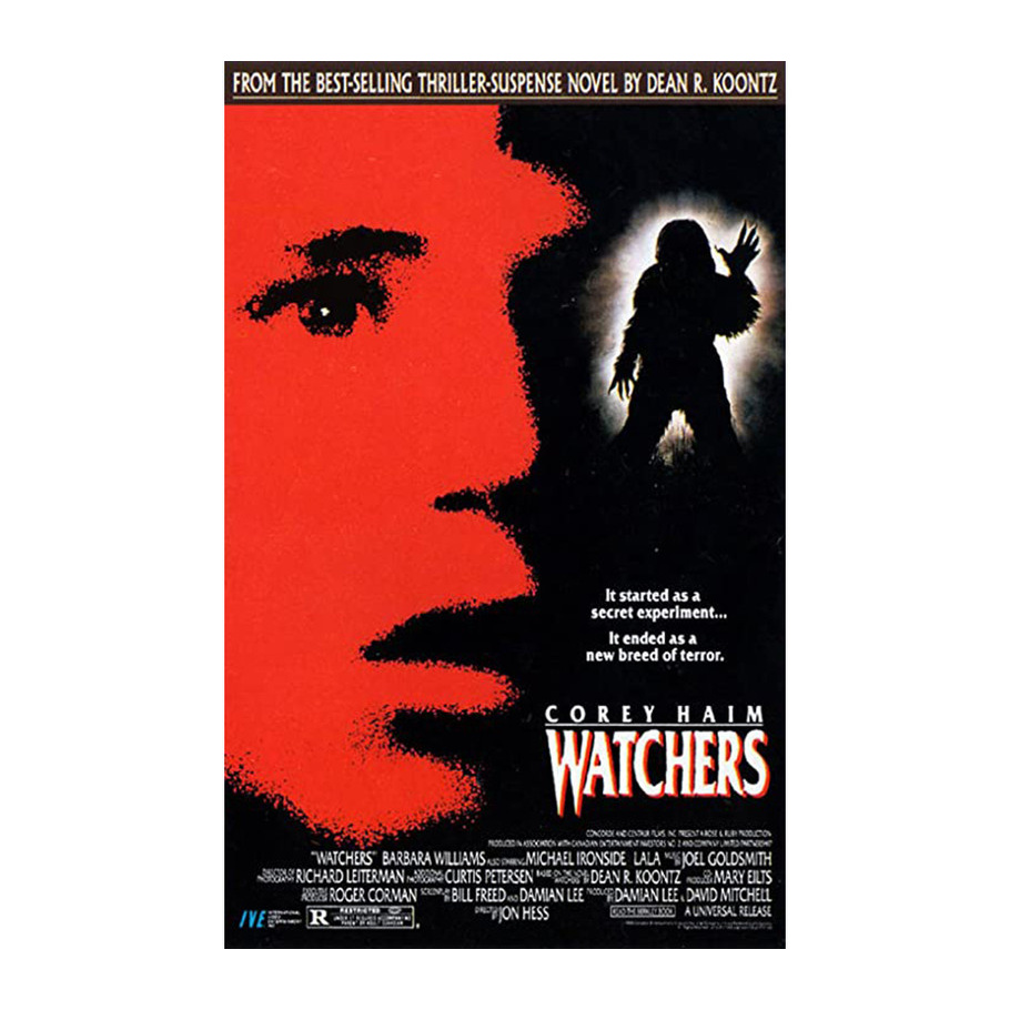 DVD Watchers - O limite do terror | Shopee Brasil