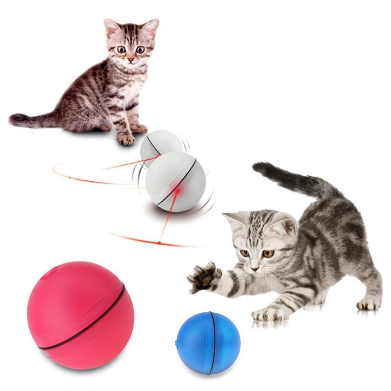Bolinha Interativa Pet Brincar Sozinho Brinquedo Gatos Cachorro ...