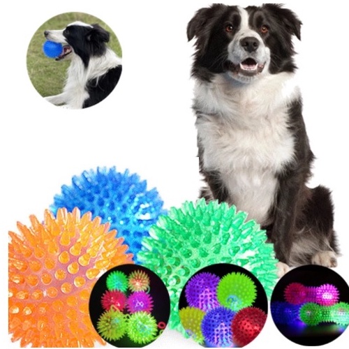 Bolinha com LED para PET / Cachorro Divertida Colorida