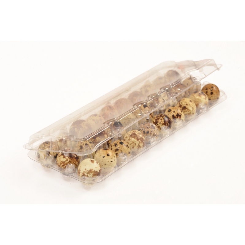 Embalagem Para Ovos De Codorna 50 Unid | Shopee Brasil