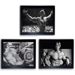 Kit Com 3 Quadro Arnold Schwarzenegger Moldurado