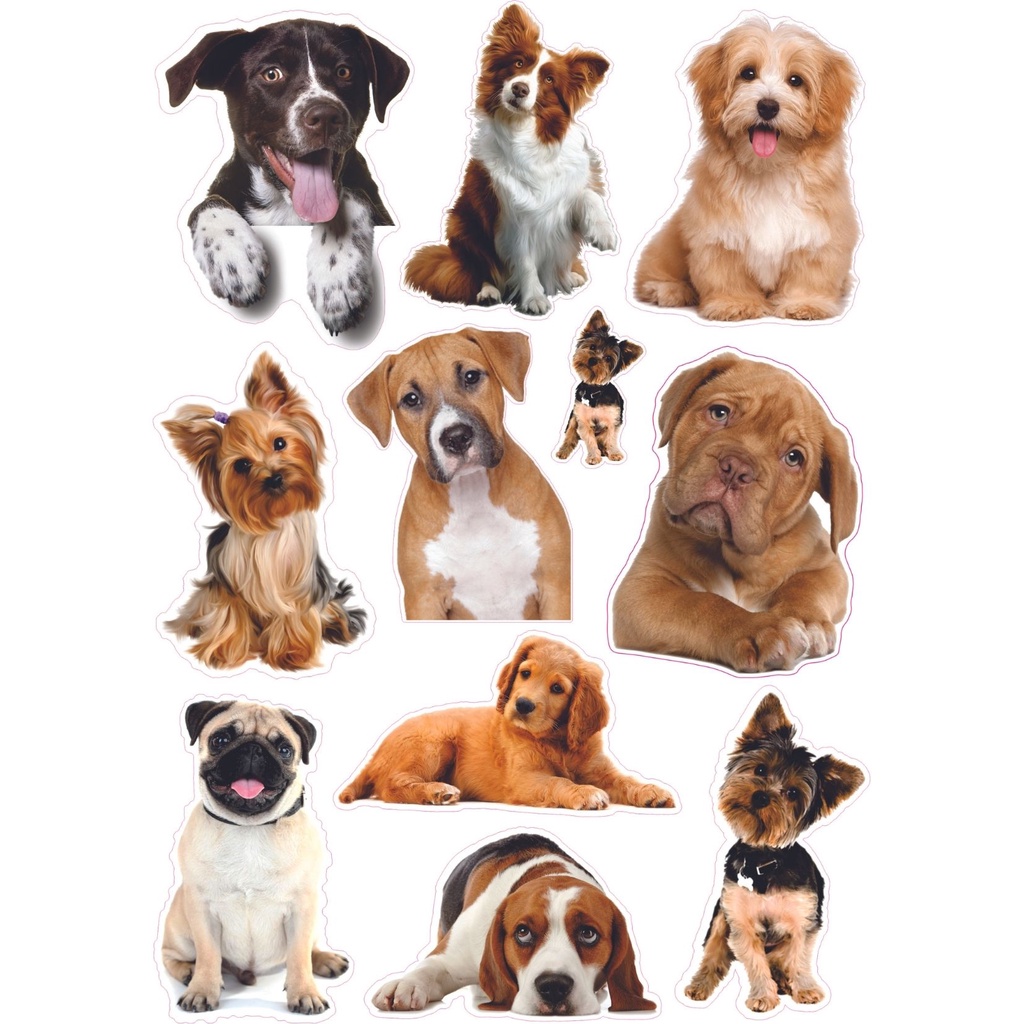 Cartela de lindos adesivos Cachorro Pet love 11 peças Dog | Shopee Brasil