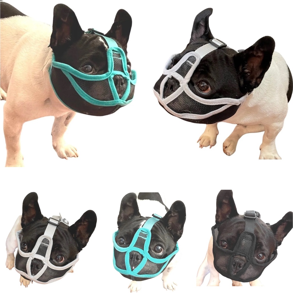 Focinheira para ShihTzu Bulldog Pug Pequinês Maltês Terrier Boxer Cachorros de Focinho Curto