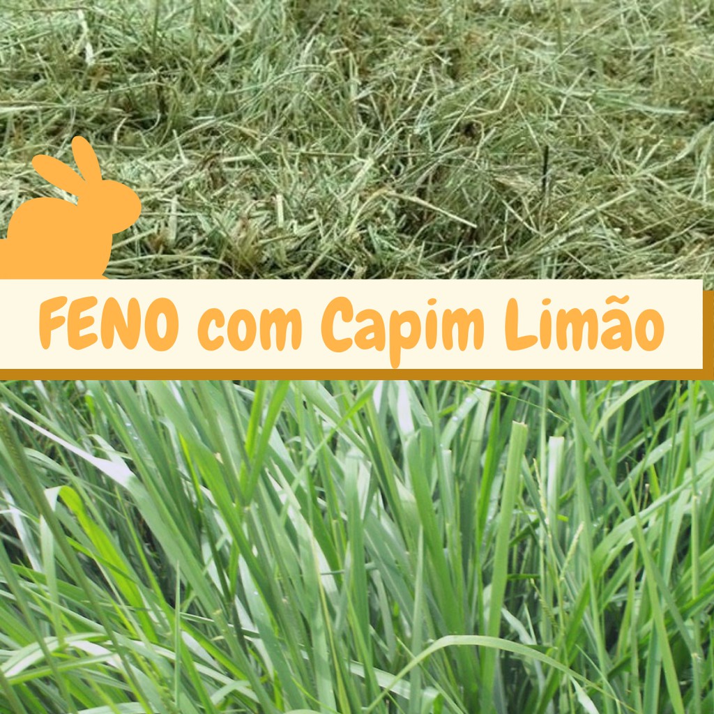 Feno Coast Cross com Capim Limão - 500g | Shopee Brasil