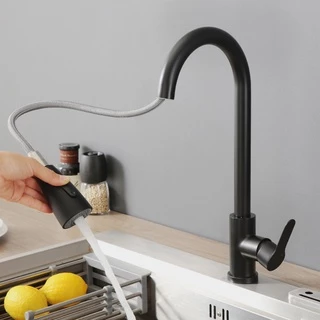Torneira de Cozinha Flexível Preto Inox Mesa Bancada Pia 2 Jatos Misturador