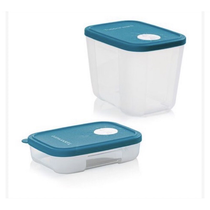Tupperware Freezertime 1 Litro E 300 Ml Shopee Brasil