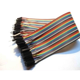 Cabo Jumper Jumpers - Macho/femea - 40 Unidades De 20 Cm
