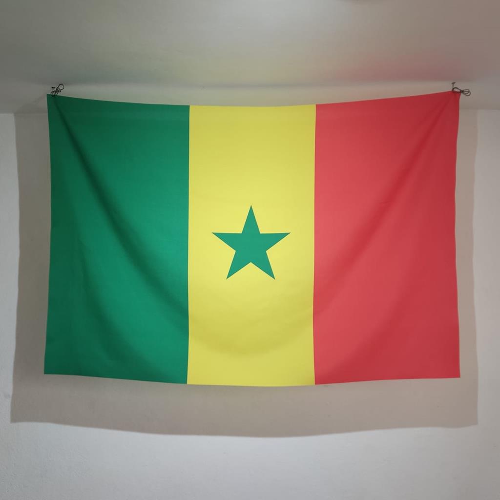 Bandeira Senegal Oxford Oficial 150x90 Cm Copa Do Mundo