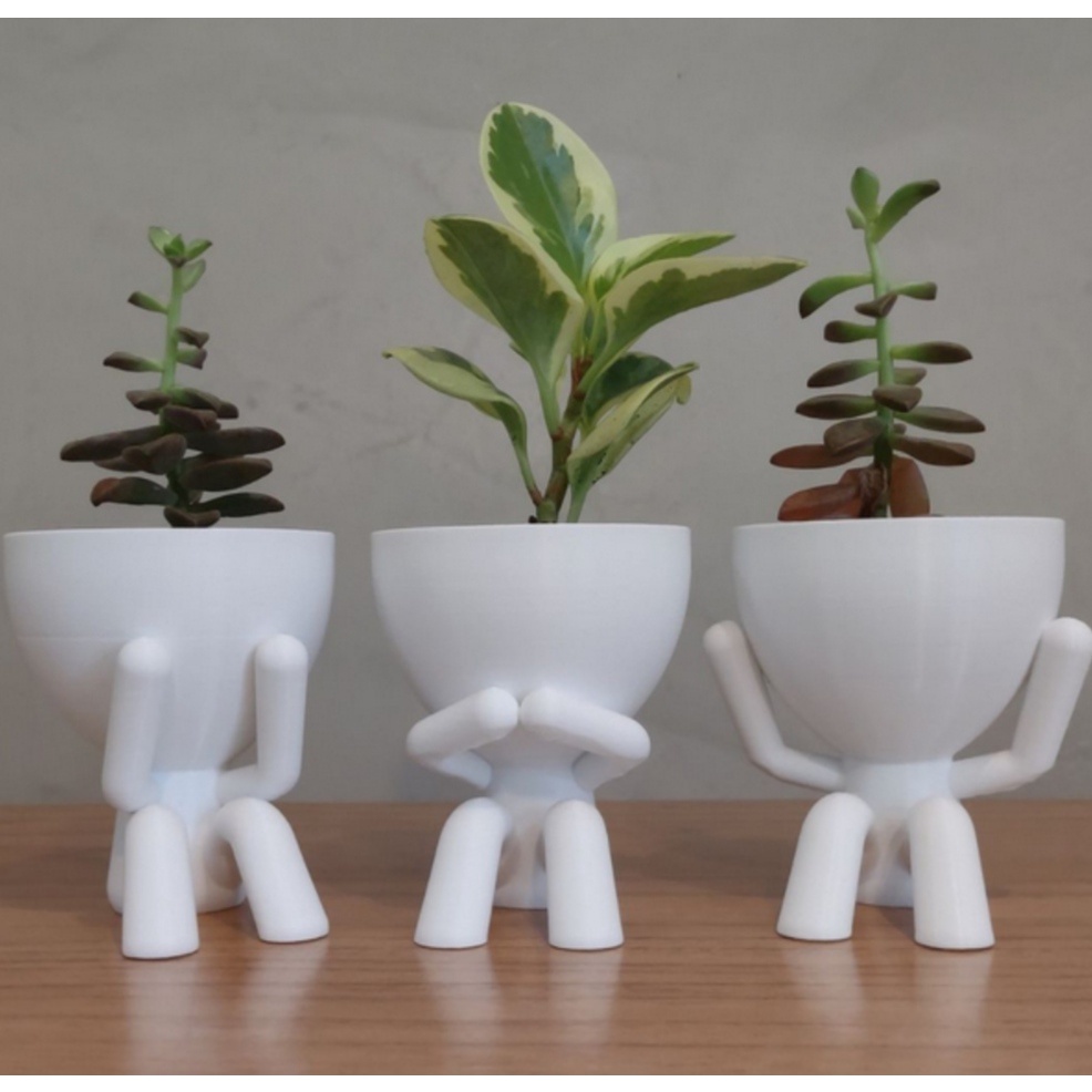 cactos em vasos isolados no fundo branco. cacto com vasos de terracota para  decoração de interiores em estilo cartoon. conceito de planta de casa  natural. ilustrações, ícones e design de interiores lisos