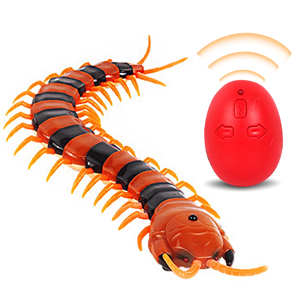 Centipede toy cheap