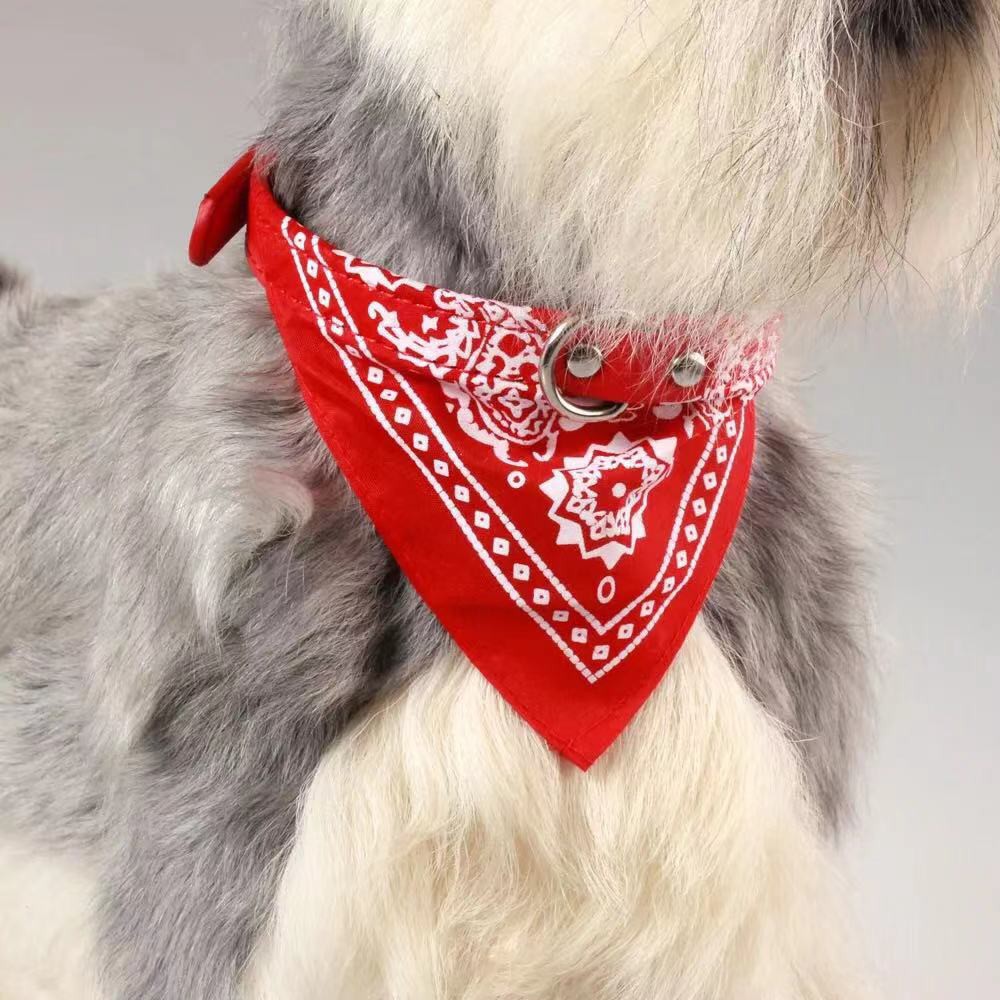 Coleira Bandana Gatos E Cachorros De Pequeno Porte