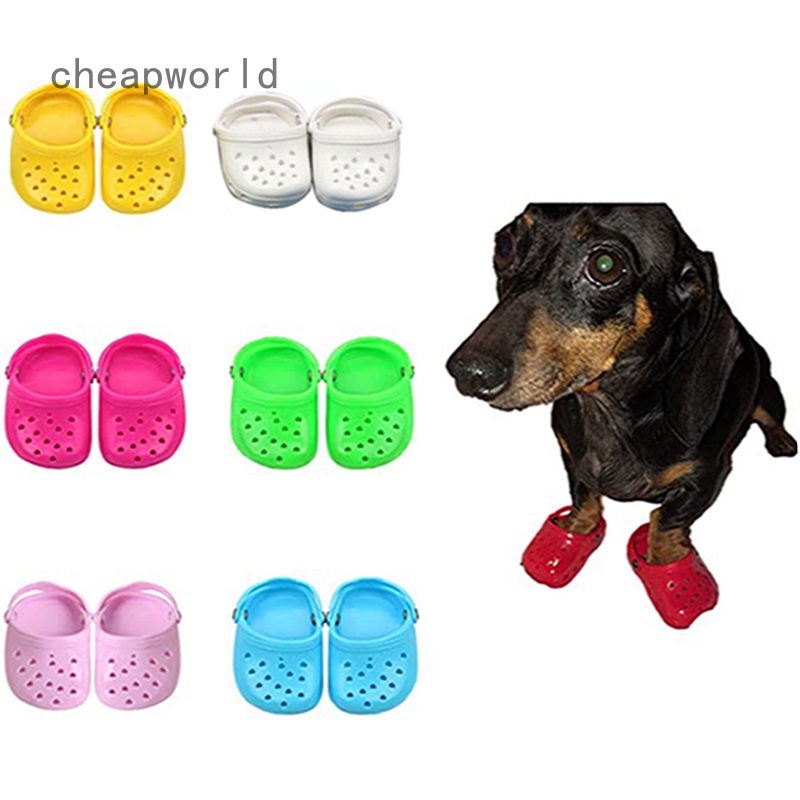 Dogs and clearance crocs