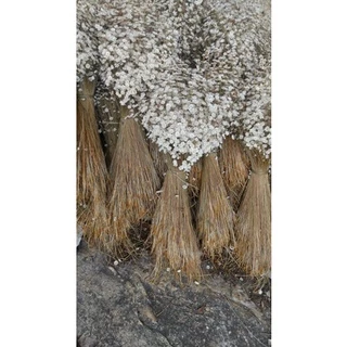 6.000 flores ATACADAO DO REI DAS FLORES FAÇA SUA FESTA DECORE COM ECONOMIA EXTRAS GRANDES E BONITAS