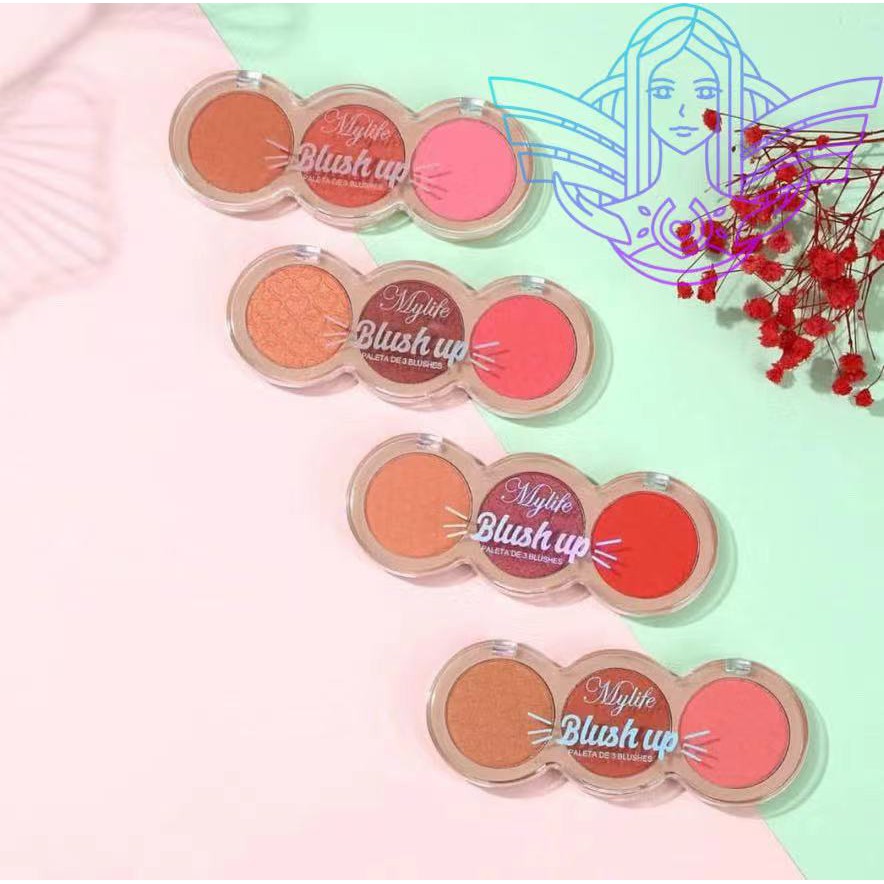 Rouge-Palette 'Blush My Life' Von Fashion Make Up – Satte Farben Für Natürliche Wangen