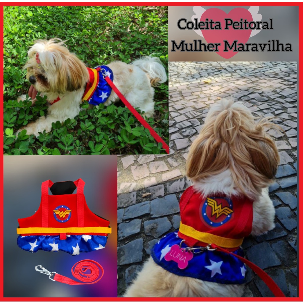 Coleira para Cachorros Mulher Maravilha c/ TAG - PET CLOTHING