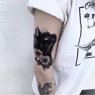 120 melhor ideia de Tatuagem de Gato e Cachorro