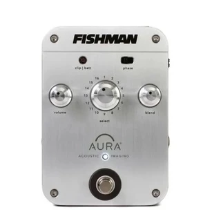 ギター FISHMAN aura junk ギター FISHMAN aura junk ギター FISHMAN