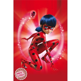 Painel Retangulo Ladybug Catnoir - Adecore Tecidos