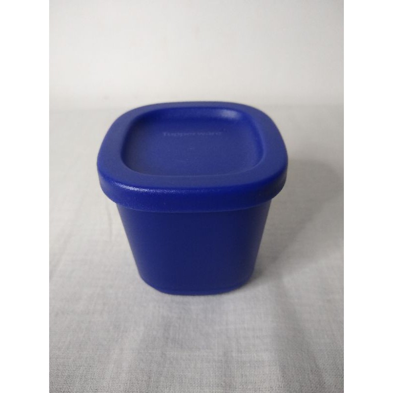 Refri Line mini Tupperware | Shopee Brasil