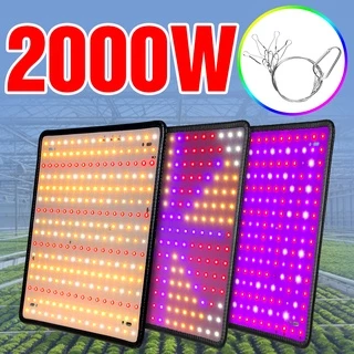 2000W LED Plant Grow Lâmpada Quantum Board LED Full Spectrum iluminação Estufa Cultivation Tent Cultivo Luz Painel De LED Indoor