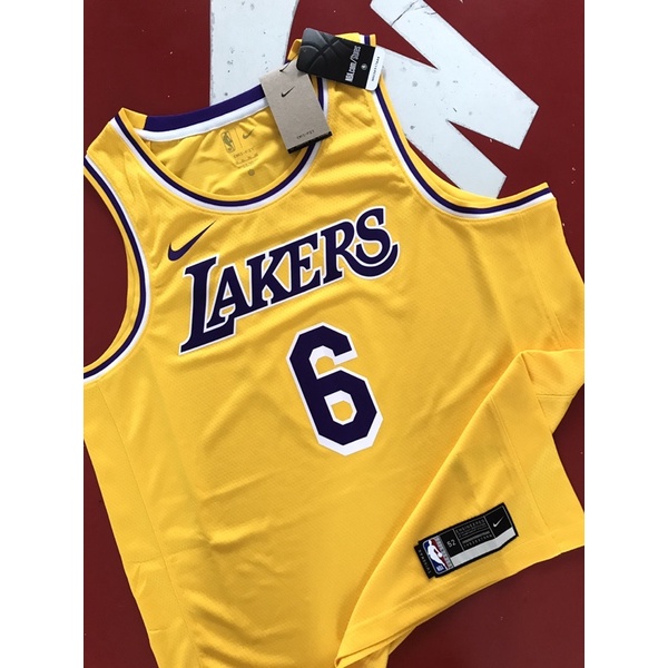 👑 x #6 Nike Los Angeles Lakers LeBron James #6 Icon Swingman
