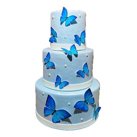 Bolo azul borboleta 🦋  Festas de aniversário azuis, Bolos de aniversário  de borboleta, Bolos de aniversário azuis