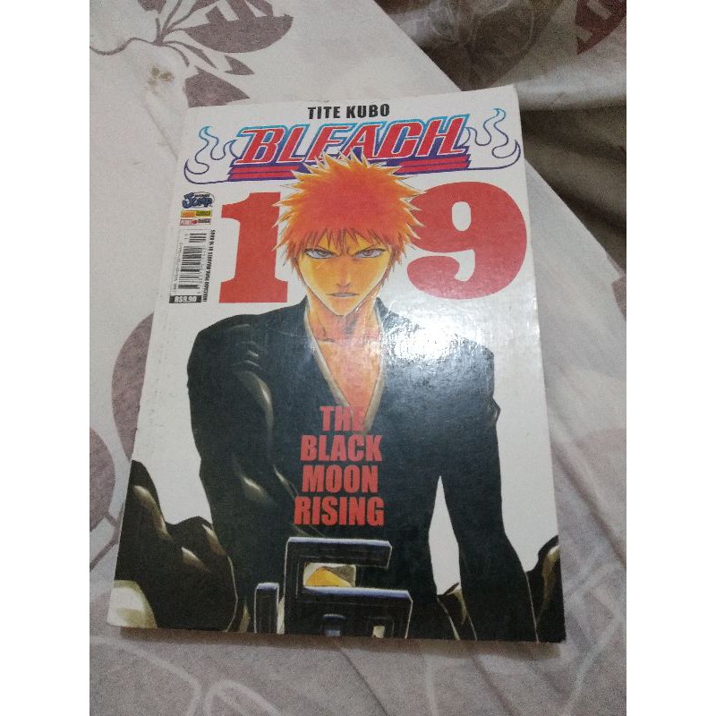 BLEACH Manga Volume 19