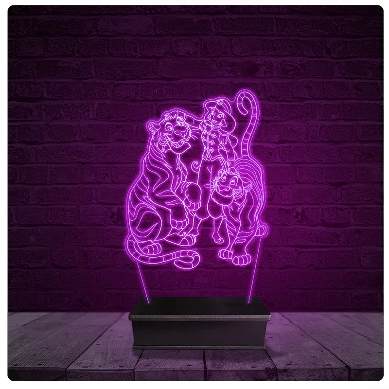 Luminária e Abajur Acrílico Led - Disney Jasmine Aladdin 11