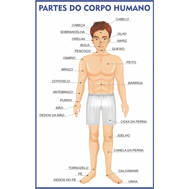 Partes Do Corpo Partes Do Corpo Humano Em Espanhol Mundo Educação