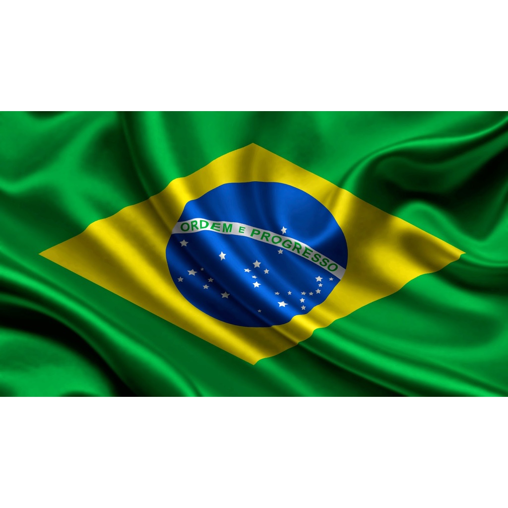 Bandeira do Brasil Oficial Seleção Copa do Mundo em Cetim Brilhante -  Tamanho Grande 1,20m x