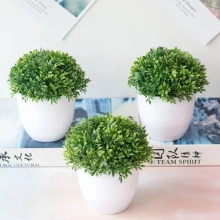 Mini Plantas Artificiais Verdes Bonsai Com Vaso De Plástico / Plantas Artificiais Para Home Office Banheiro Mesa Decoração Do Quarto