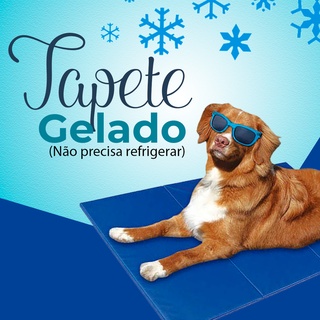 TAPETE GELADO PET 40X50X1CM - PS94