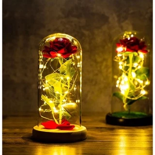 Luminária Decorativa Amor Eterno Inspirada Na Bela E A Fera 20CM