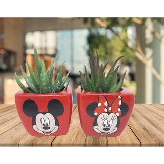 2 Vasinhos Mickey E Minnie Para Colocar Flores E Suculentas
