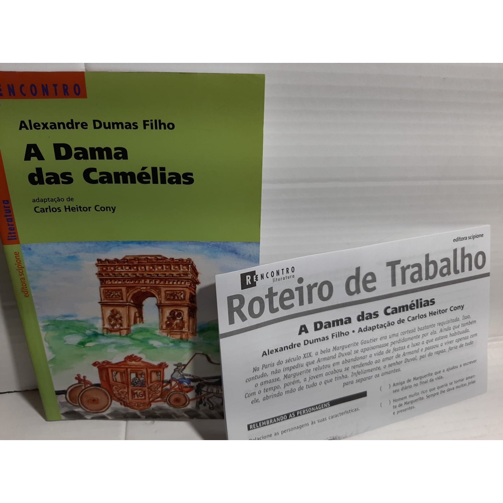 Sinopse do livro: A Dama das Camélias. 