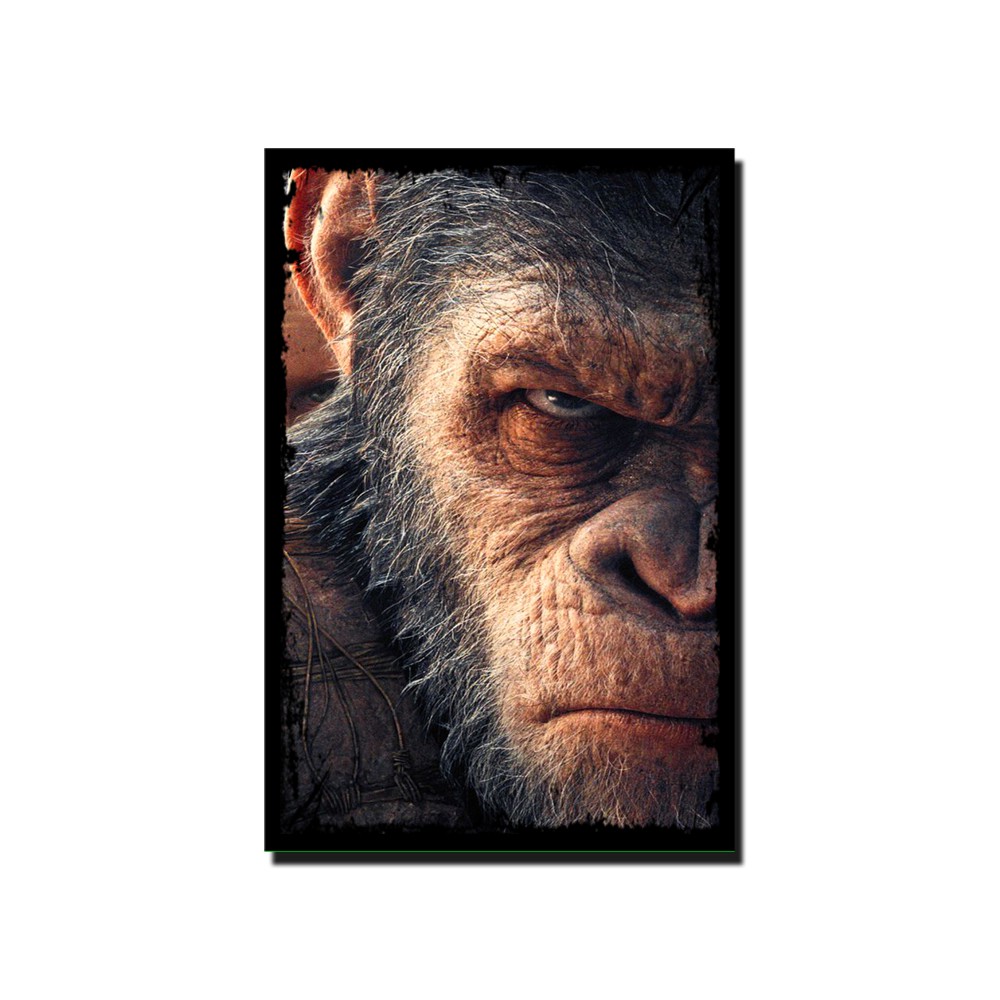 Quadro Decorativo Macaco Chimpanze Arte Abstrata Natureza