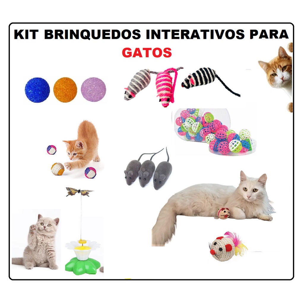 Kit Comedouro para Gatos e Abacate com Catnip + Brinde - Pet