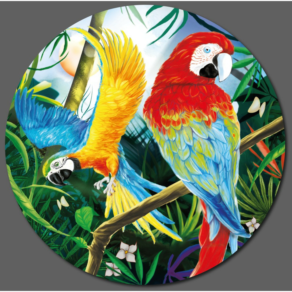 Quebra-Cabeça Redondo - 500 Peças - Natureza Esplêndida - Onça Pintada -  Pais e Filhos