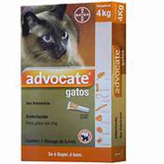Advocate Gatos Combo 3 pipetas para gatos até 4kg.