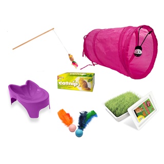 Kit Gato Saúde Erva Comedouro Varinha Bolinhas Túnel+ Brinde