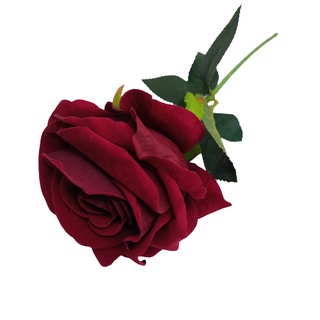 rosa vermelha em Promoção na Shopee Brasil 2023