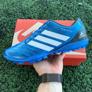 Chuteira adidas predator society 2024 azul