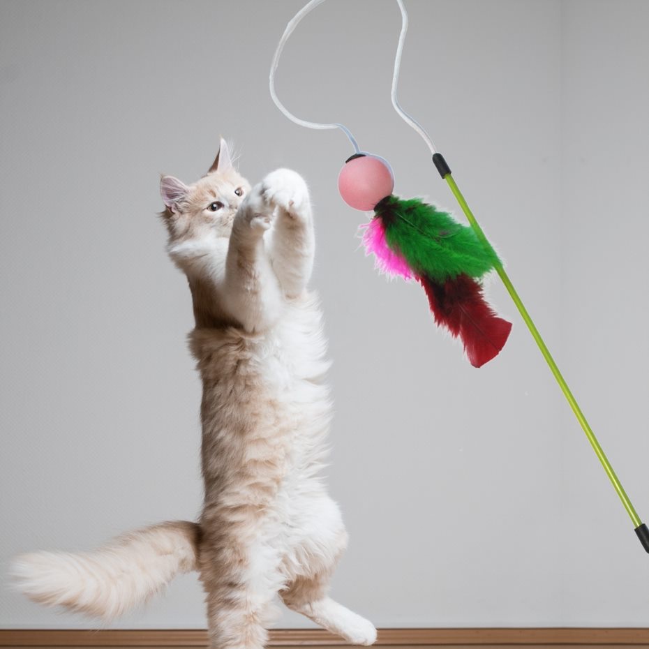 Varinha Cat Fishing Ball Sortido
