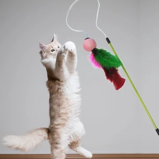 Varinha Cat Fishing Ball Sortido