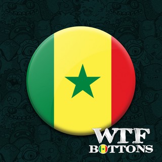 Bandeira Senegal Oxford Oficial 150x90 Cm Copa Do Mundo
